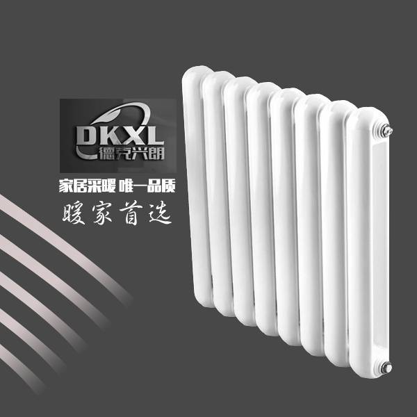 钢制散热器50X25圆的